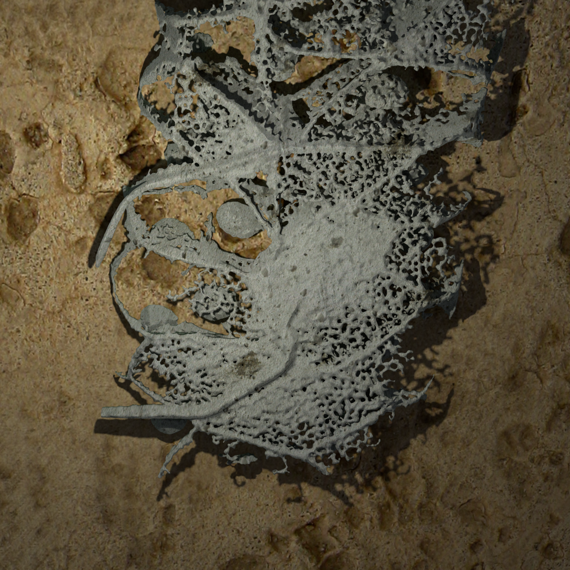 3Dart_2_fat50mm.png