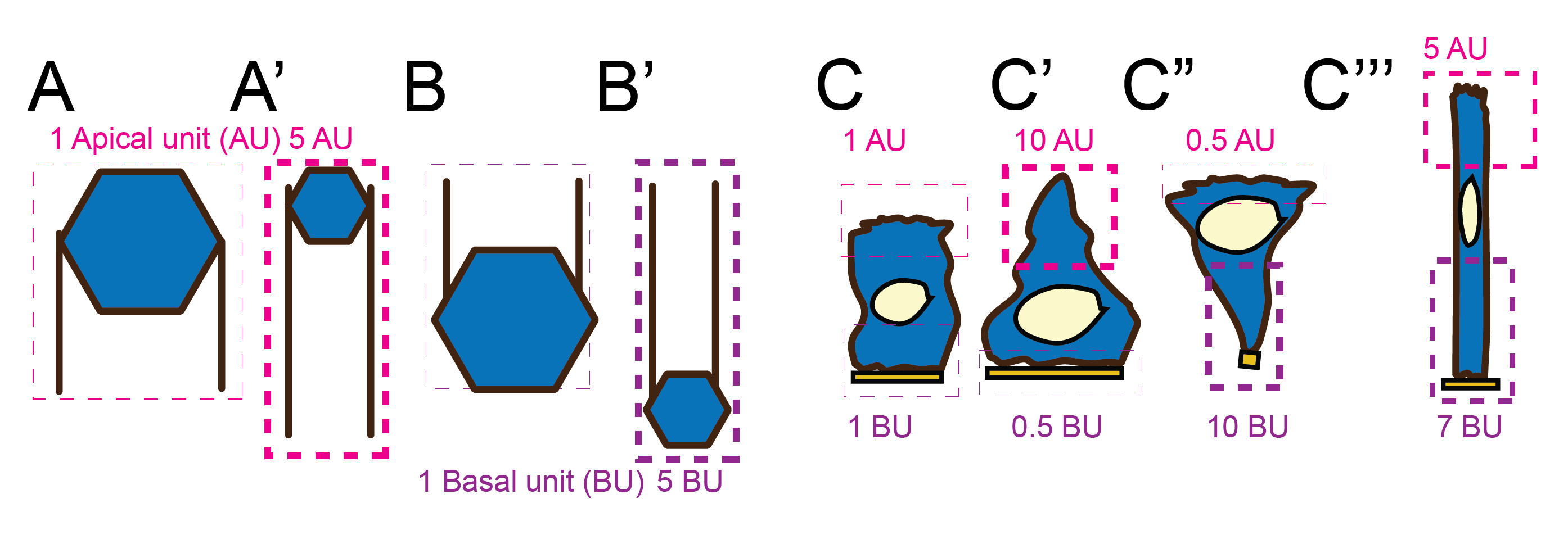 3DcellFig6-02.png