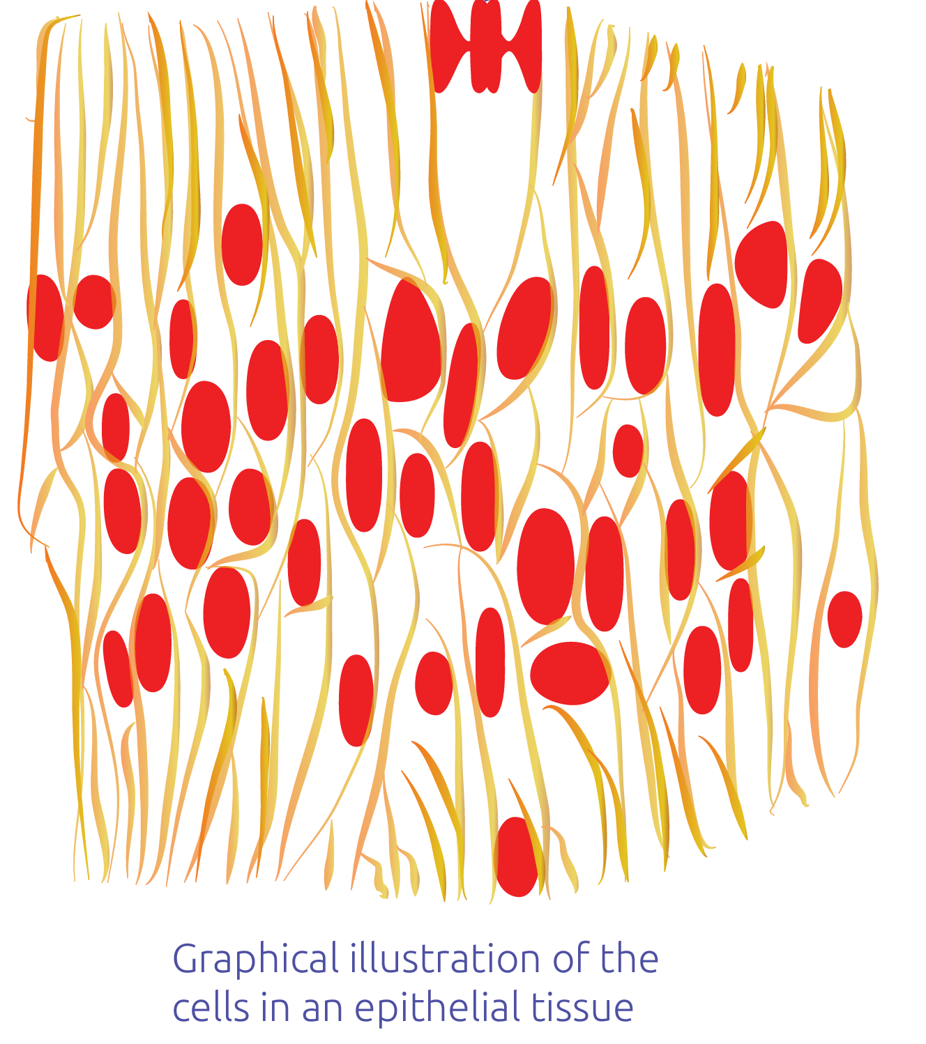 Illustration.png