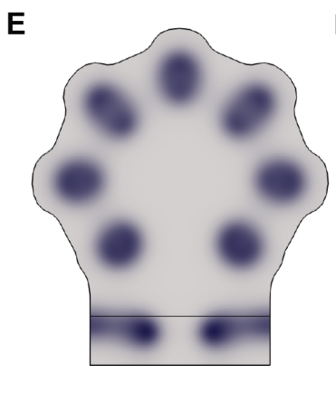 Simulation_turing-1.png