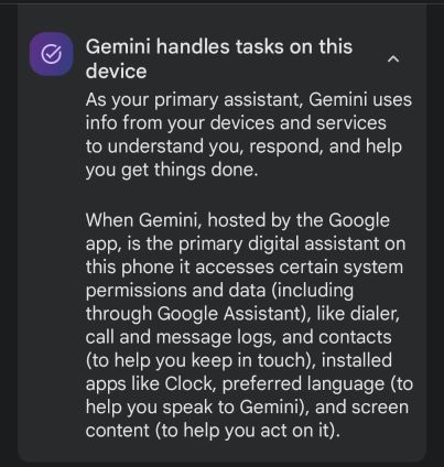Gemini Permissions Screenshot 1
