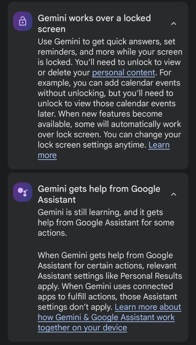 Gemini Permissions Screenshot 2