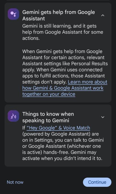 Gemini Permissions Screenshot 3