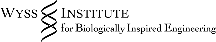 8_Wyss.png